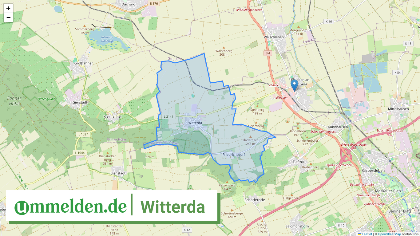 160685050061 Witterda