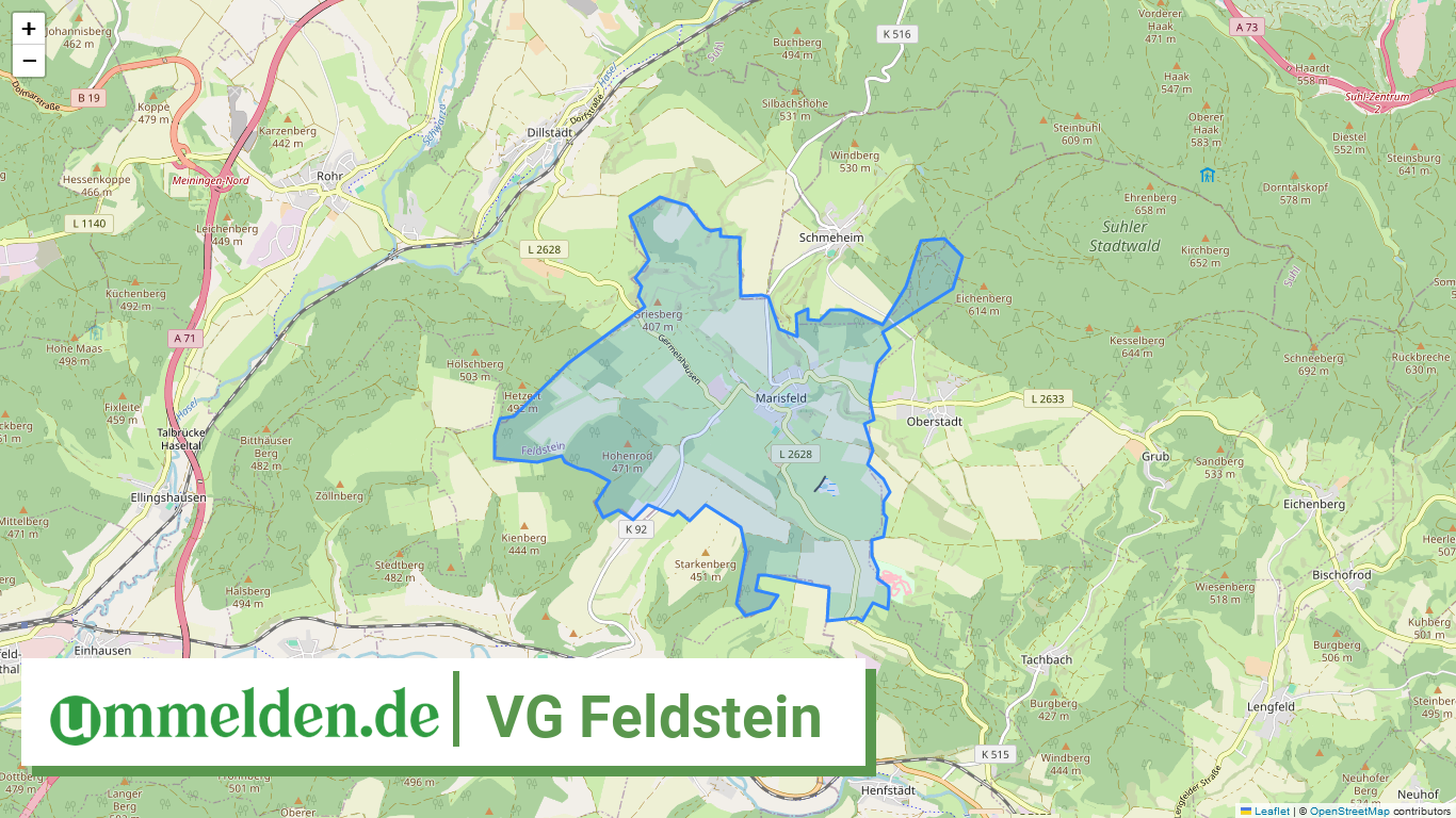 160695002 VG Feldstein