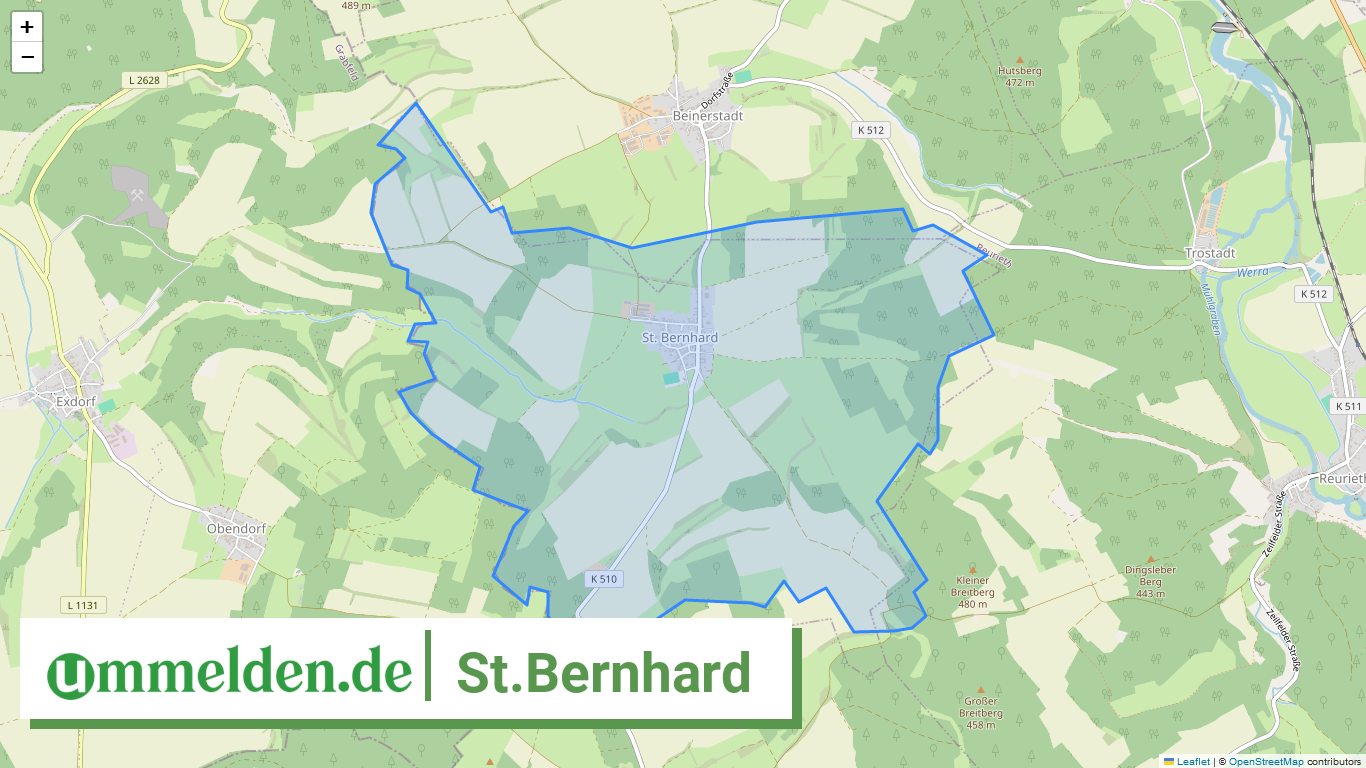 160695002047 St.Bernhard