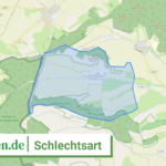 160695004041 Schlechtsart