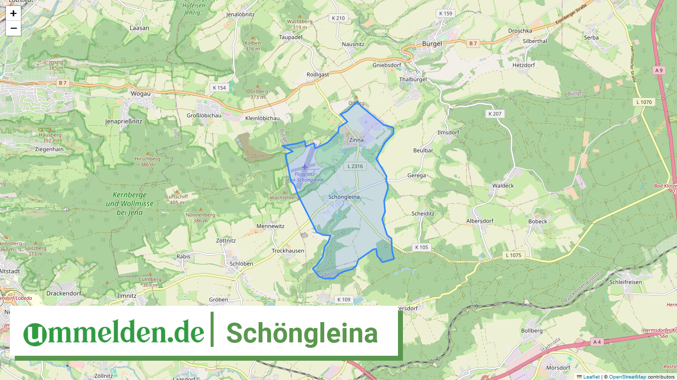 160745053086 Schoengleina