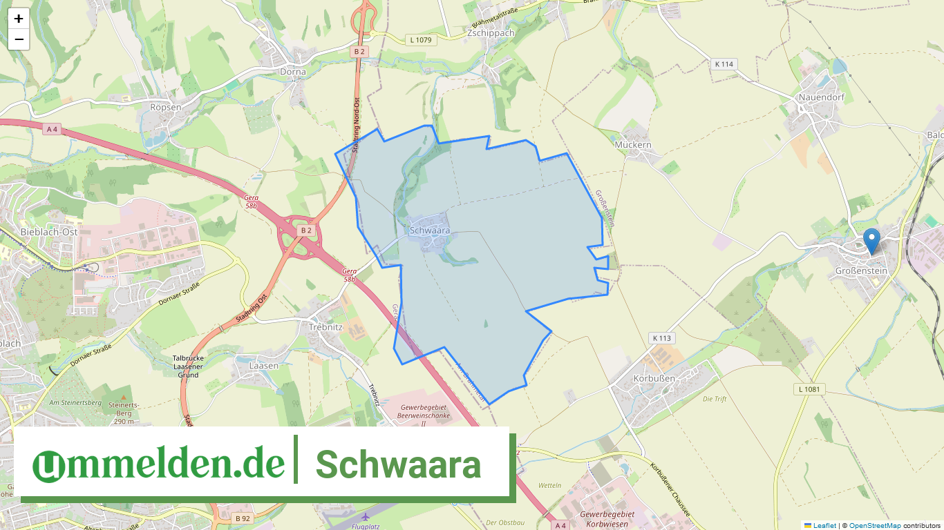 160765008067 Schwaara