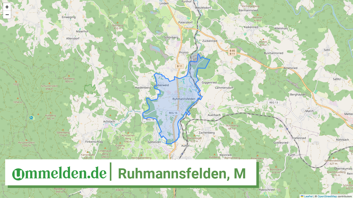 092765238142 Ruhmannsfelden M