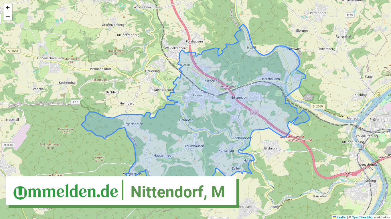 093750175175 Nittendorf M